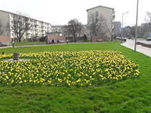 Grotewohlstraße Lübbenau