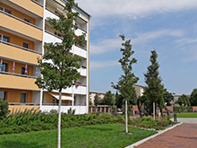 Otto-Grotewohl-Straße in Lübbenau